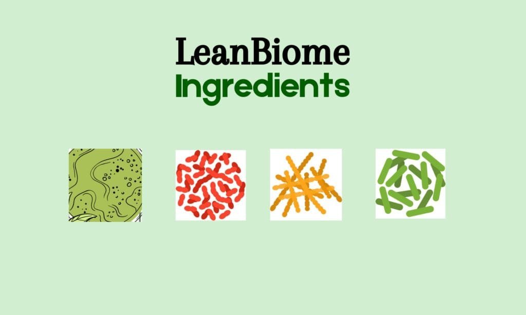 leanbiome ingredients