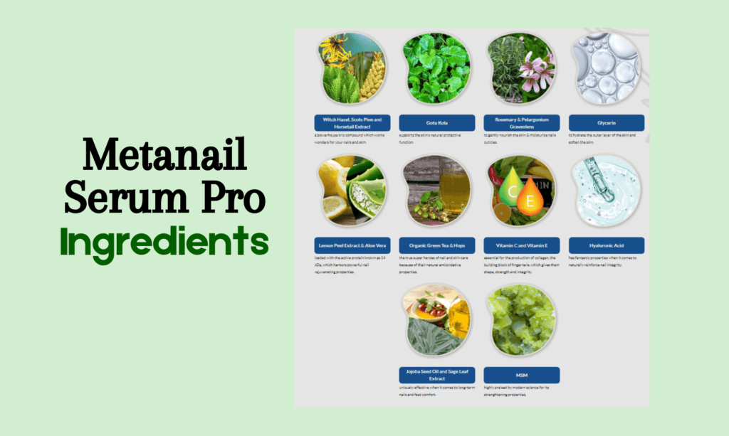 Metanail Serum Pro Ingredients